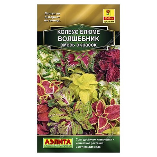 Колеус блюме Волшебник смесь сортов 5шт (Аэлита)