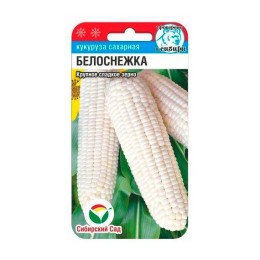 Кукуруза сахарная Белоснежка 10шт (Сибирский Сад)