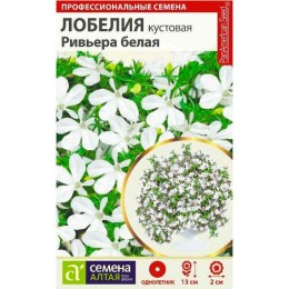 Лобелия кустовая Ривьера белая 8шт (Семена Алтая)