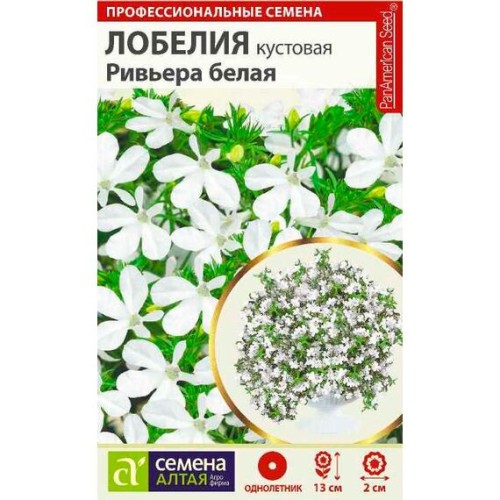Лобелия кустовая Ривьера белая 8шт (Семена Алтая)