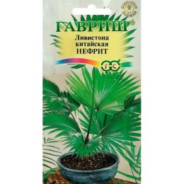 Ливистона китайская Нефрит 3шт (Гавриш)