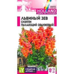 Львиный зев Снэппи Пылающий оранжевый "Семена из Голландии" 10шт (Семена Алтая)