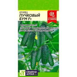 Огурец Пучковый Бум F1 5шт (Семена Алтая)