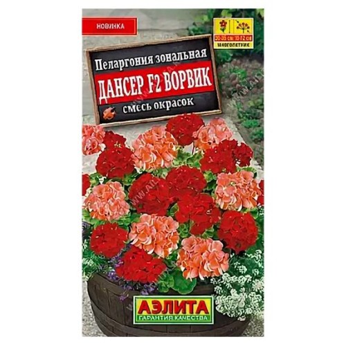 Пеларгония зональная Дансер F2 Ворвик смесь сортов 5шт (Аэлита)