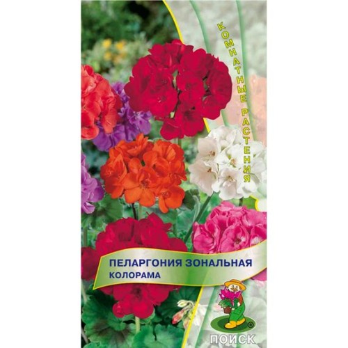 Пеларгония зональная Колорама 0.05г (Поиск)