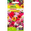 Смесь многолетняя Ленивица 0.3г (Семена Алтая)