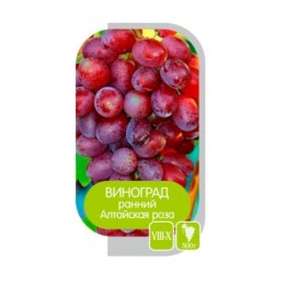 Виноград Алтайская роза (Семена Алтая)