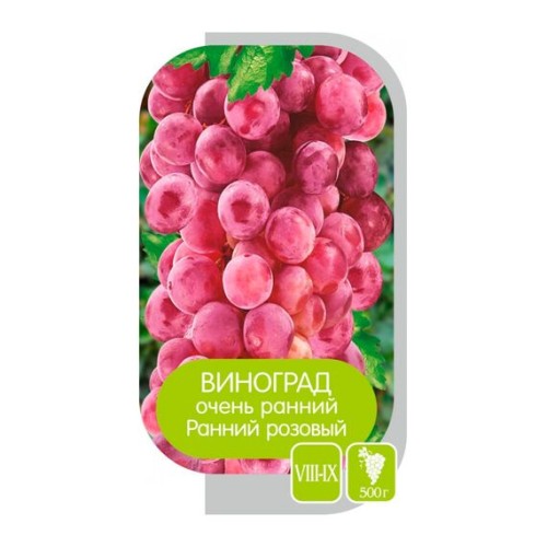 Виноград Ранний Розовый (Семена Алтая)