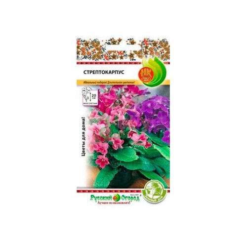 Стрептокарпус смесь 6шт (Русский огород)