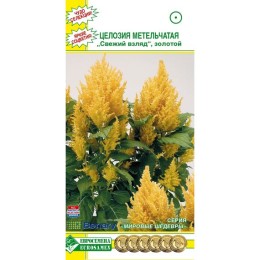 Целозия метельчатая Свежий взгляд золотой "Мировые шедевры" 10шт (Евросемена)