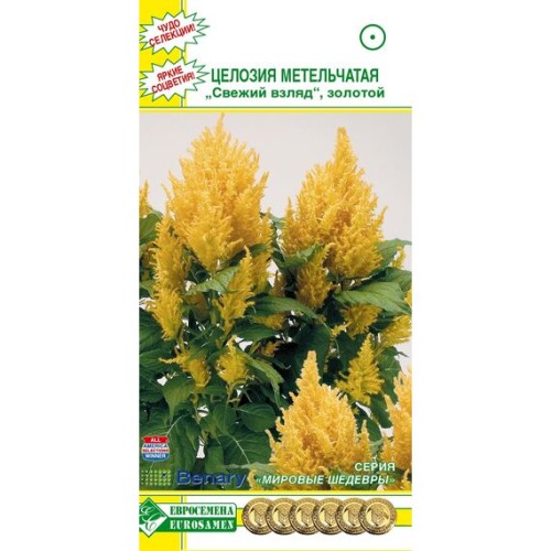 Целозия метельчатая Свежий взгляд золотой "Мировые шедевры" 10шт (Евросемена)
