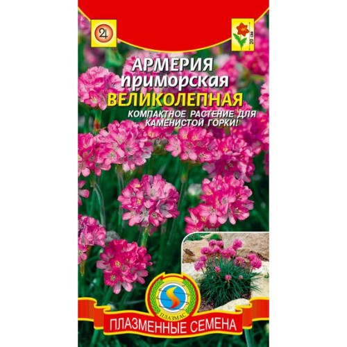 Армерия приморская Великолепная (Плазмас)
