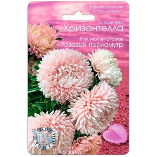 Астра китайская Хризантелла Розовый перламутр 30шт (Биотехника)