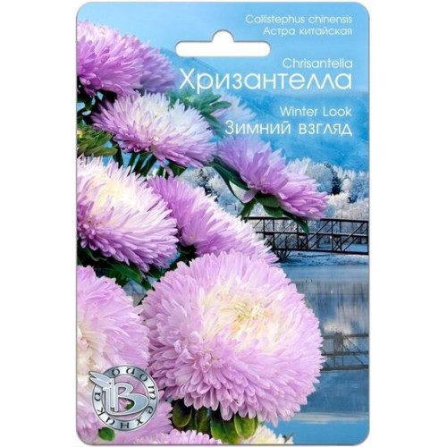Астра китайская Хризантелла Зимний взгляд 30шт (Биотехника)