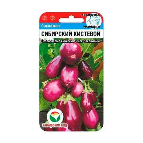 Баклажан Сибирский кистевой 20шт (Сибирский Сад)