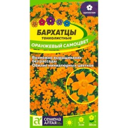 Бархатцы тонколистные Оранжевый самоцвет 0.1г (Семена Алтая)