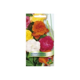 Бегония клубневая Лето в Петергофе 15шт (Поиск)