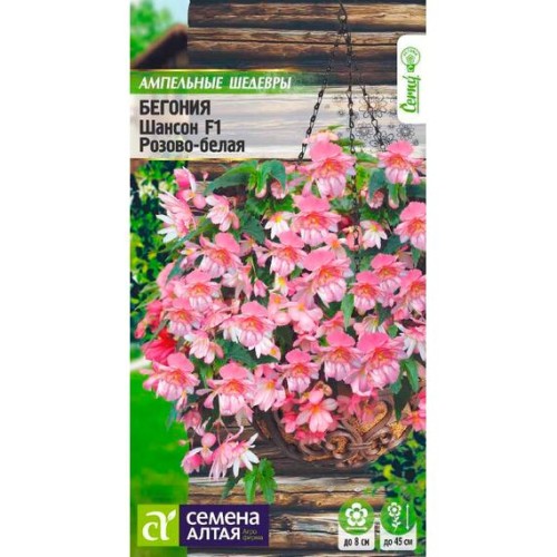 Бегония Шансон F1 Розово-белая "Ампельные шедевры" 5шт (Семена Алтая)