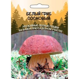 Мицелий Белый гриб Сосновый 30мл (Уральский дачник)