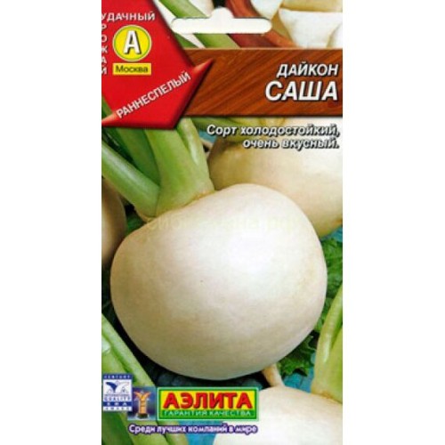 Дайкон Саша 1г (Аэлита)