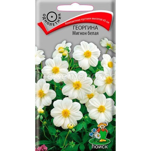 Георгина Мигнон белая 0.2г (Поиск)