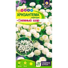Хризантема пиретрум Снежный шар 0.01г (Семена Алтая)