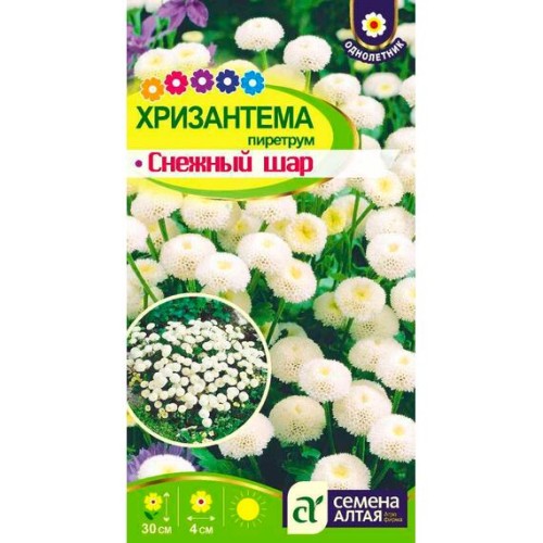 Хризантема пиретрум Снежный шар 0.01г (Семена Алтая)