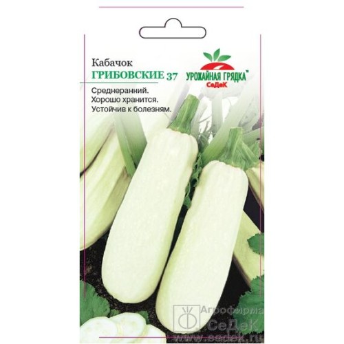 Кабачок Грибовские 37 "Урожайная грядка" 2г (СеДеК)