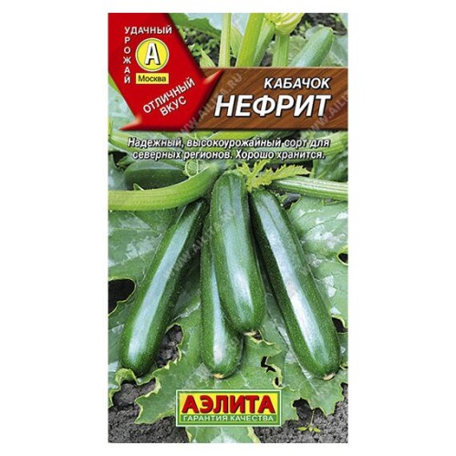 Кабачок цуккини Нефрит 2г (Аэлита)