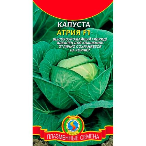 Капуста белокочанная Атрия F1 10шт (Плазмас)