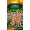 Ковыль Фейерверк 5шт (Аэлита)