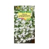 Лобелия длинночерешковая Белый каскад 0.01г (Гавриш)