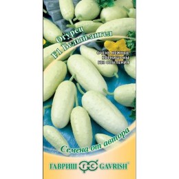 Огурец Белый ангел F1 "Семена от автора" 10шт (Гавриш)