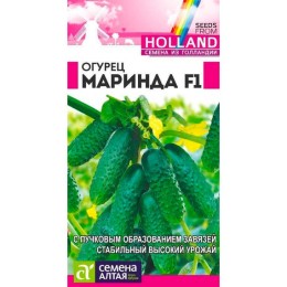Огурец Маринда F1 "Семена из Голландии" 5шт (Семена Алтая)