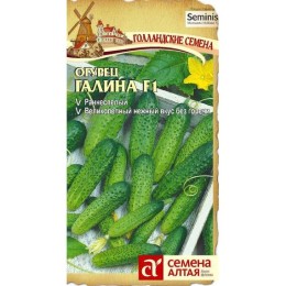 Огурец Галина F1 "Семена из Голландии" 5шт (Семена Алтая)