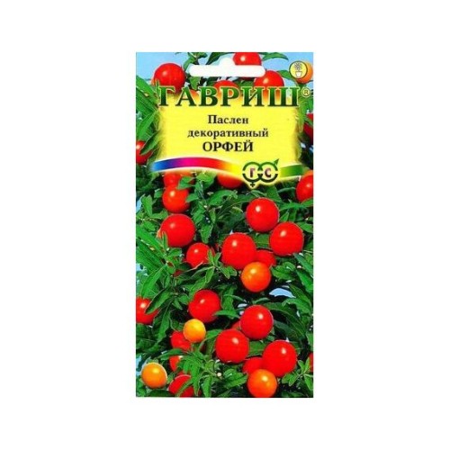 Паслен декоративный Орфей 12шт (Гавриш)