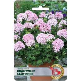 Пеларгония Квантум F1 Лайт Пинк 5шт (Биотехника)