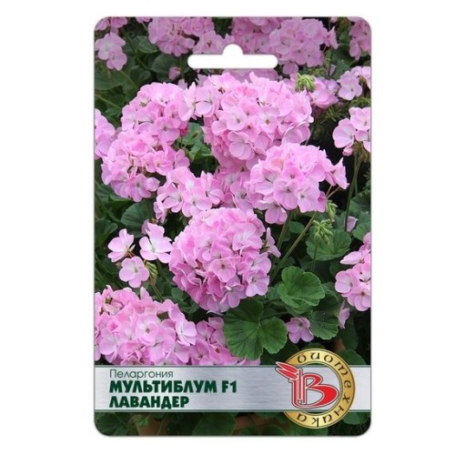 Пеларгония Мультиблум F1 Лавендер 5шт (Биотехника)