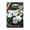 Пеларгония Пинто Премиум Вайт F1 5шт (Биотехника)