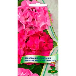 Пеларгония зональная Династия Фиолетово-розовая 5шт (Поиск)
