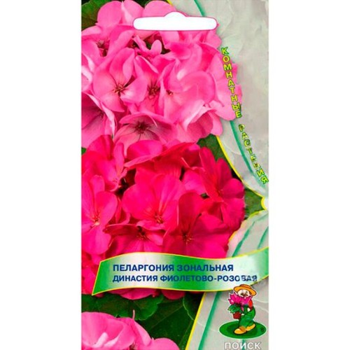 Пеларгония зональная Династия Фиолетово-розовая 5шт (Поиск)