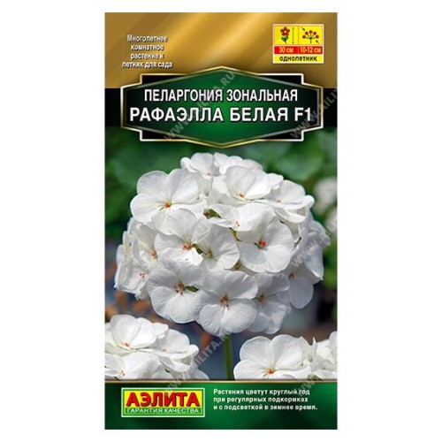 Пеларгония зональная Рафаэлла F1 Белая 5шт (Аэлита)