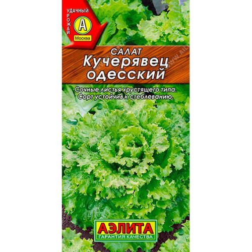 Салат Кучерявец одесский 0.5г (Аэлита)
