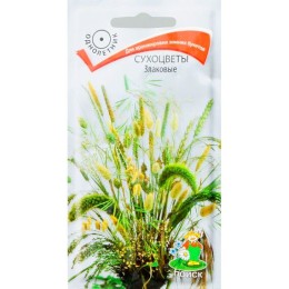 Сухоцветы Злаковые (Поиск)