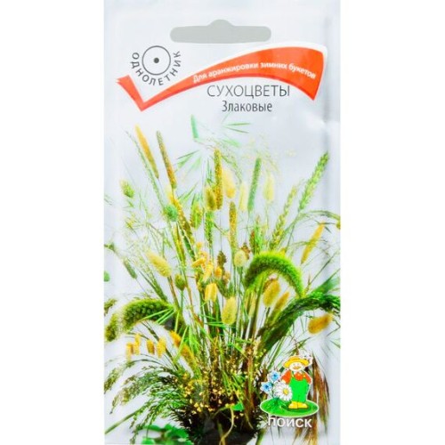 Сухоцветы Злаковые (Поиск)
