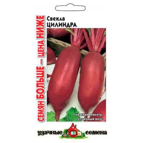 Свекла Цилиндра "Удачные семена" 5г (Гавриш)