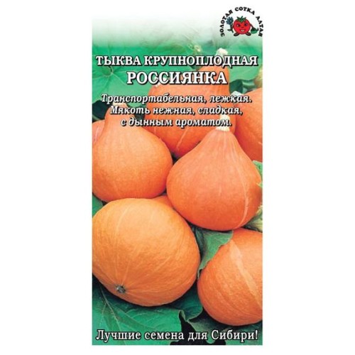 Тыква крупноплодная Россиянка 2г (Золотая сотка Алтая)