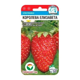 Земляника Королева Елизавета 10шт (Сибирский Сад)