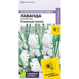 Лаванда английская Снежный колос "Профессиональные семена" 5шт (Семена Алтая)