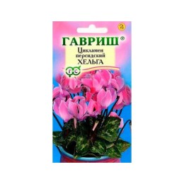 Цикламен персидский Хельга 3шт (Гавриш)